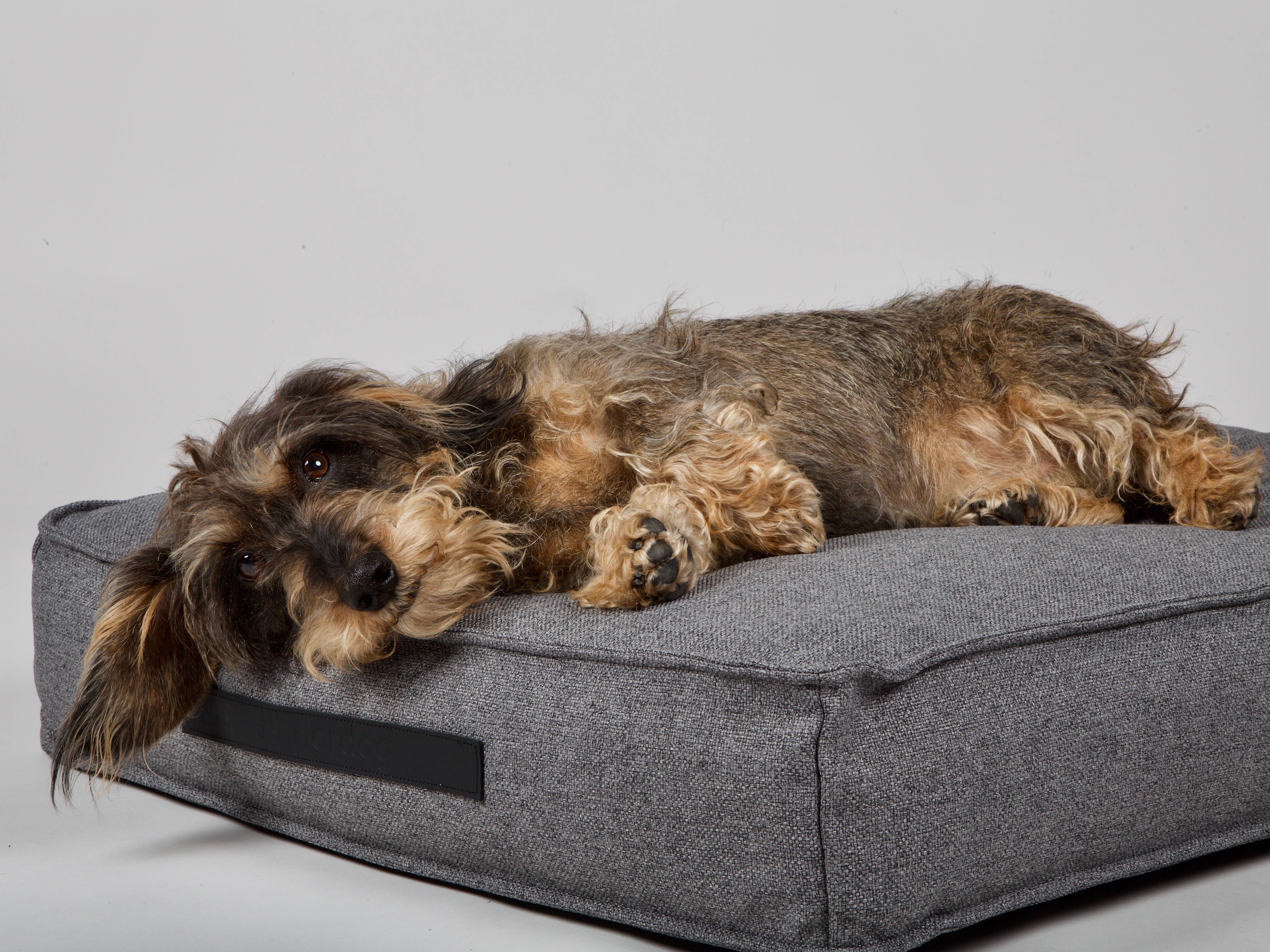 Anthracite Coussin pour chien Hygge Anthracite en vente sur Faire4