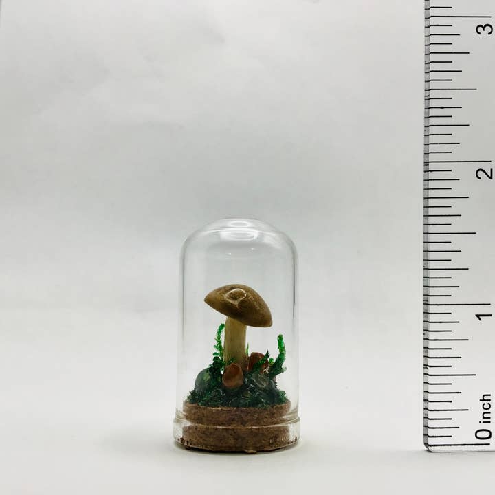 Fungus Farm LLC - Wholesale Decorative Tabletop Object - Real Mushroom Curiosity Jar Fungi Oddity Decor 1.75" # 6551