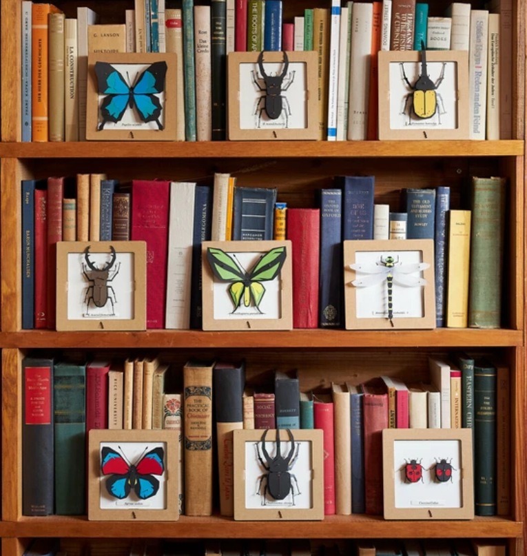 「FUNJI」In Japan - Wholesale DIY Craft Kit - Japanese Paper Craft Beetle Kit – H. Mandibularis Model5