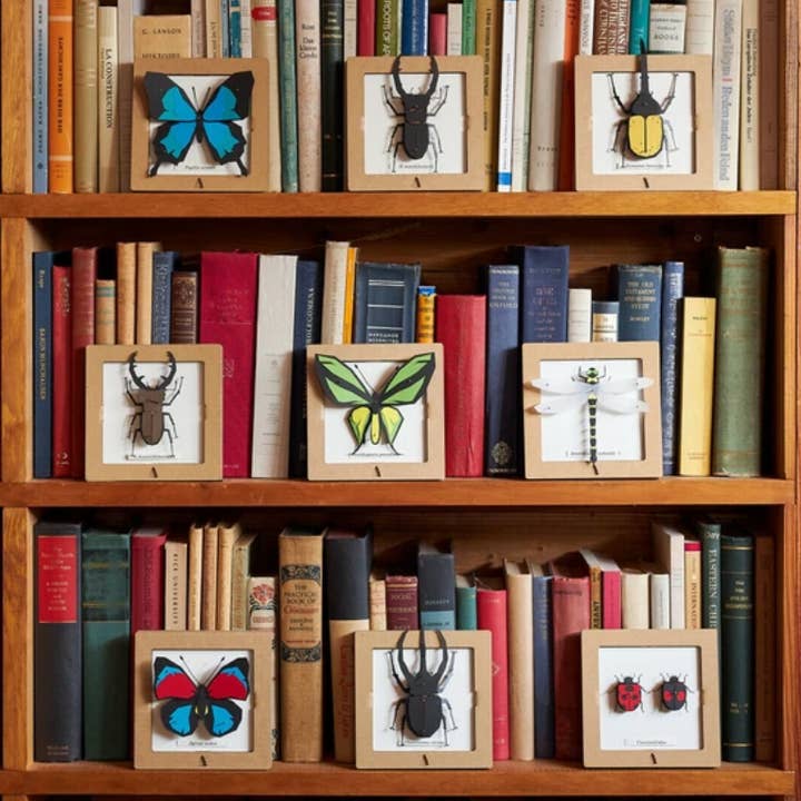 「FUNJI」In Japan - Wholesale DIY Craft Kit - Japanese Paper Craft Beetle Kit – H. Mandibularis Model5