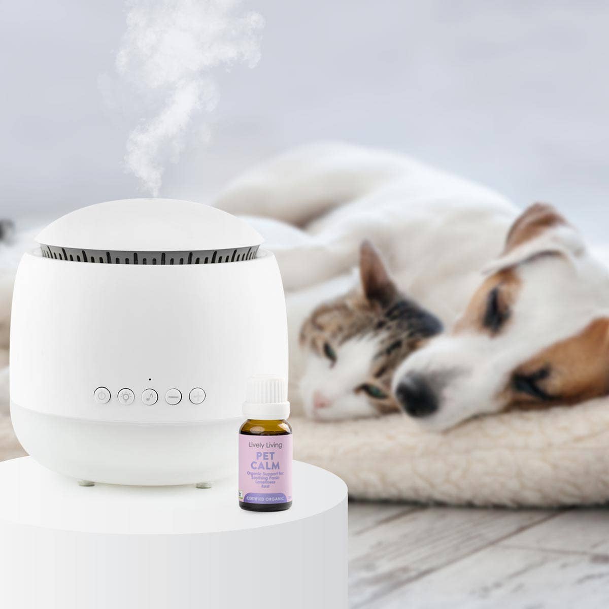 Lively Living - Wholesale Pet Supplement - Cat/Dog - Pet Calm - Certified Organic Essential Oil Blend 15ml5