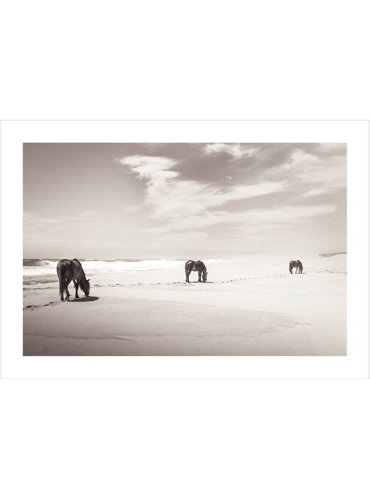 Tres caballos en la playa para venta al por mayor de Love Warriors