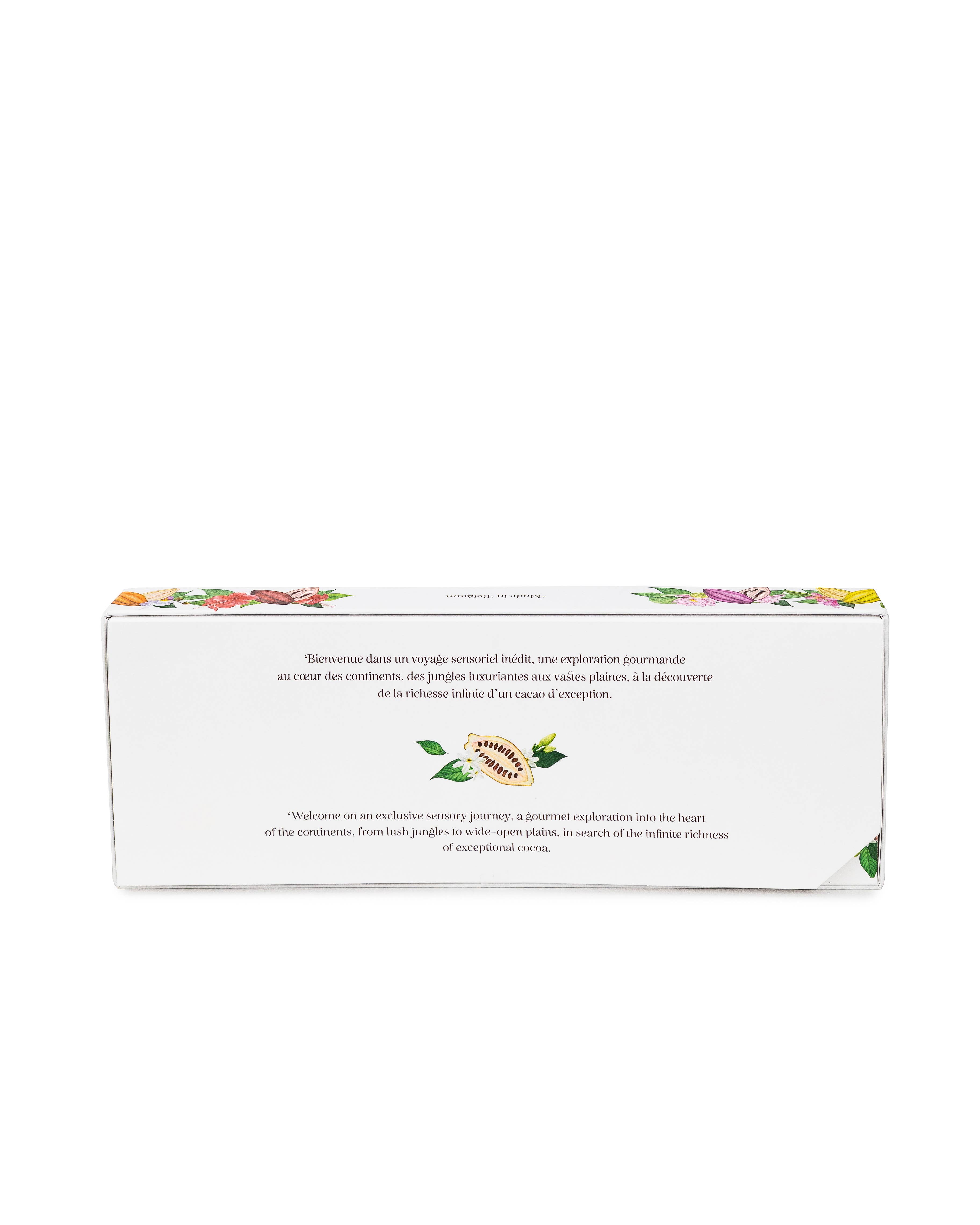 Dolfin - Wholesale Chocolate Box - Origins Box2