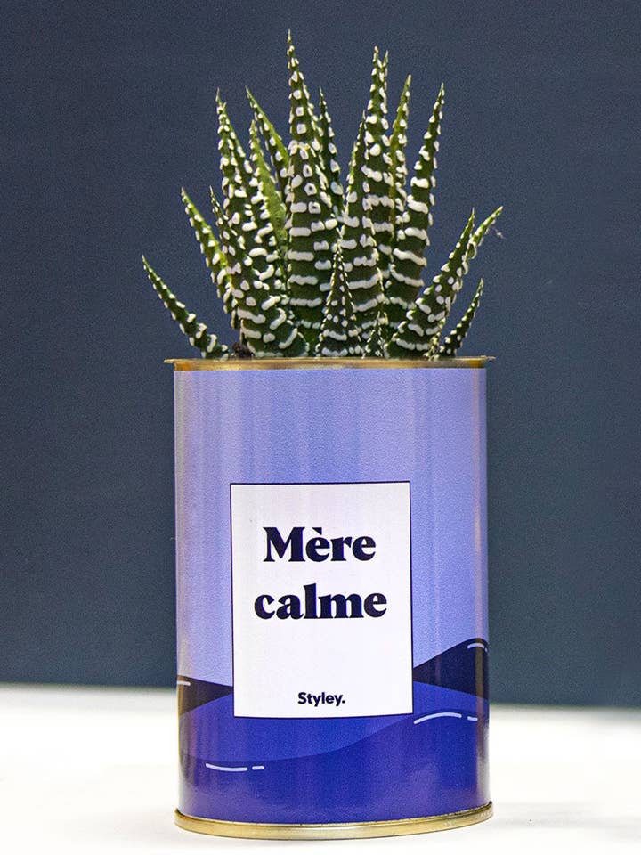 Mor Lugna - Kaktus för wholesale av Styley