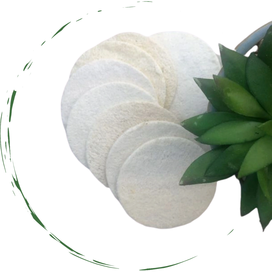 BeNat – Großhandel Luffa-Schwamm – Natürliche Luffa-Schwamm-Pads 5-tlg9