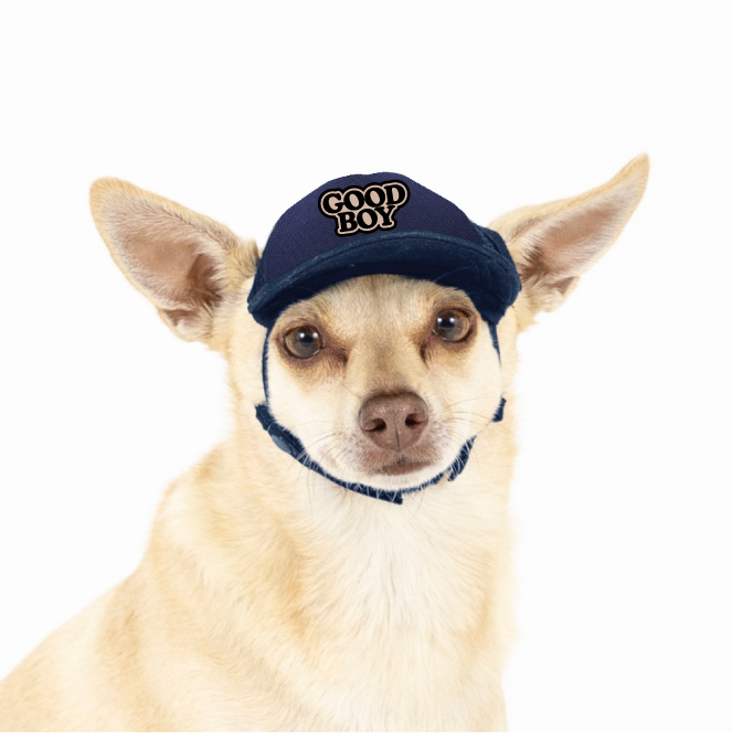 PupLid - Wholesale Pet Hat - Dog - Good Boy | Trucker Hat for Dogs5