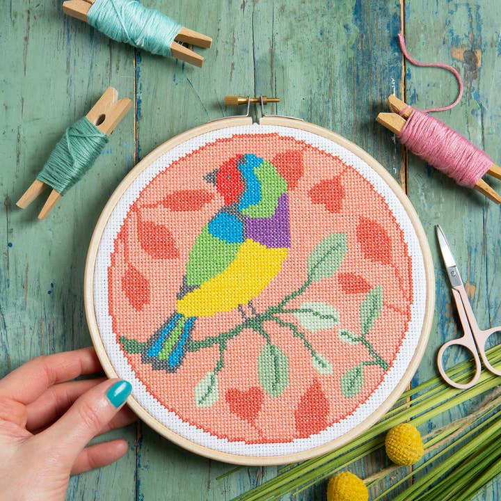 Kit de Point de Croix Pinson Arc-en-ciel | Kit d'Artisanat Débutant pour la vente par Hawthorn Handmade (US Duties Paid)