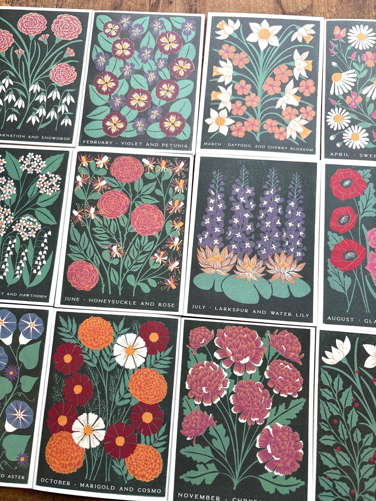 Katharine Watson - Wholesale Everyday Greeting Card - Birth Month Flowers: January Greeting Card6