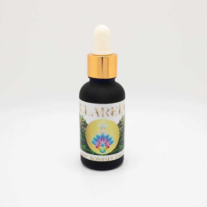 Organic Fresh Boneset Tincture | Powerful holistic preventative + first aid for wholesale by CLAREIA