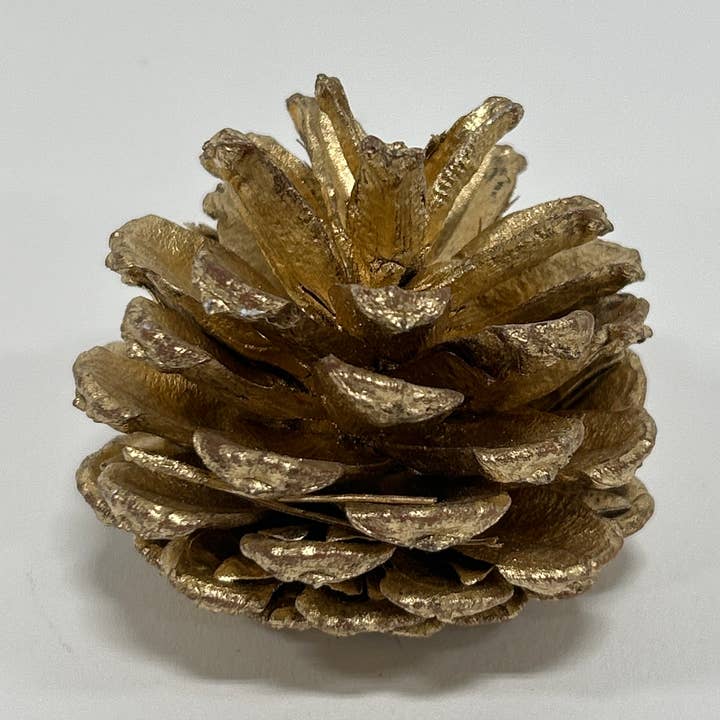 Pinhas Pequenas Pintadas a Ouro Metálico - 1-2 Polegadas de Altura por atacado de GS Foliage