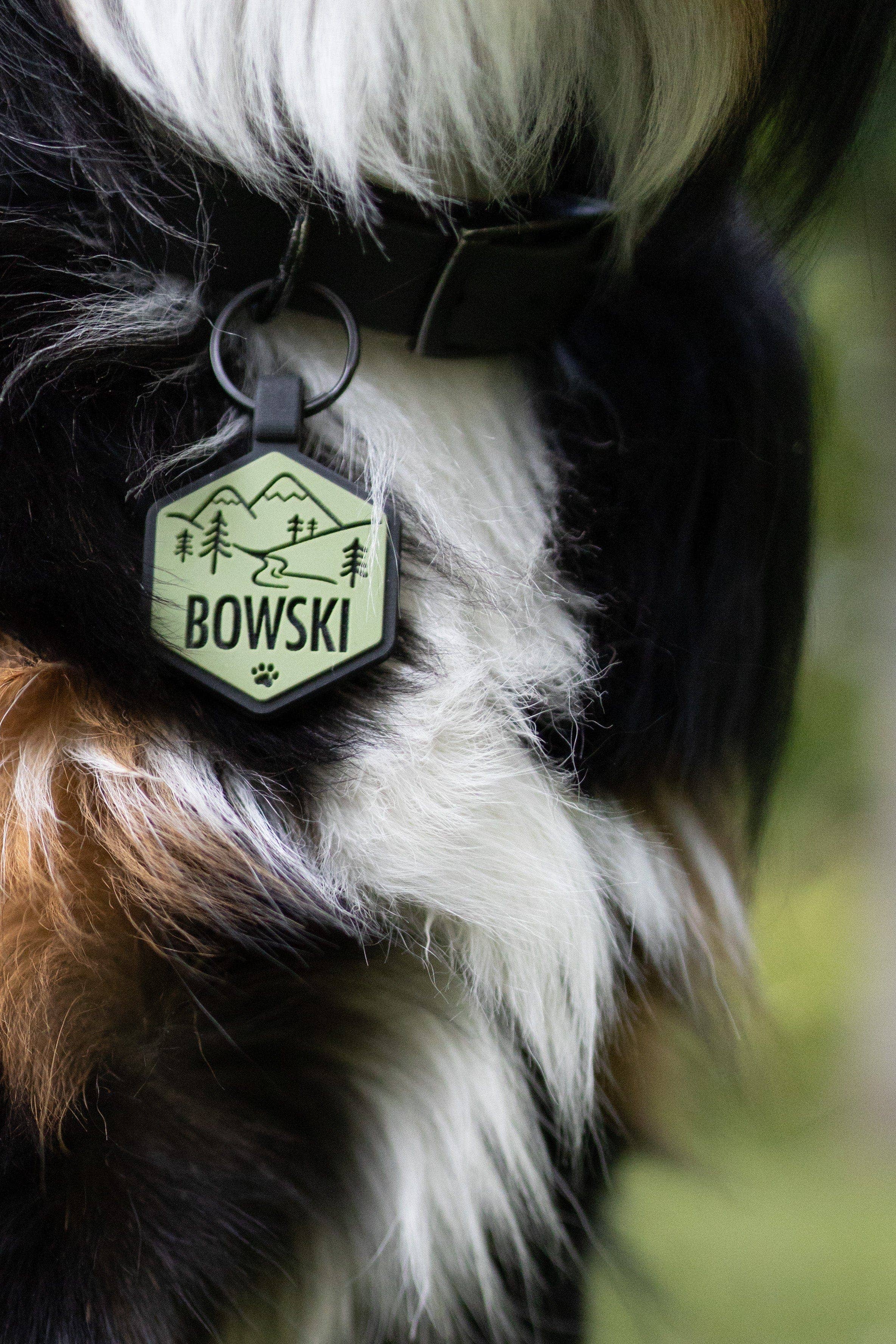 Besties Pets - Vendita all'ingrosso Etichetta per collare - Cani - Targhetta per cane in silicone con tema avventura in montagna2