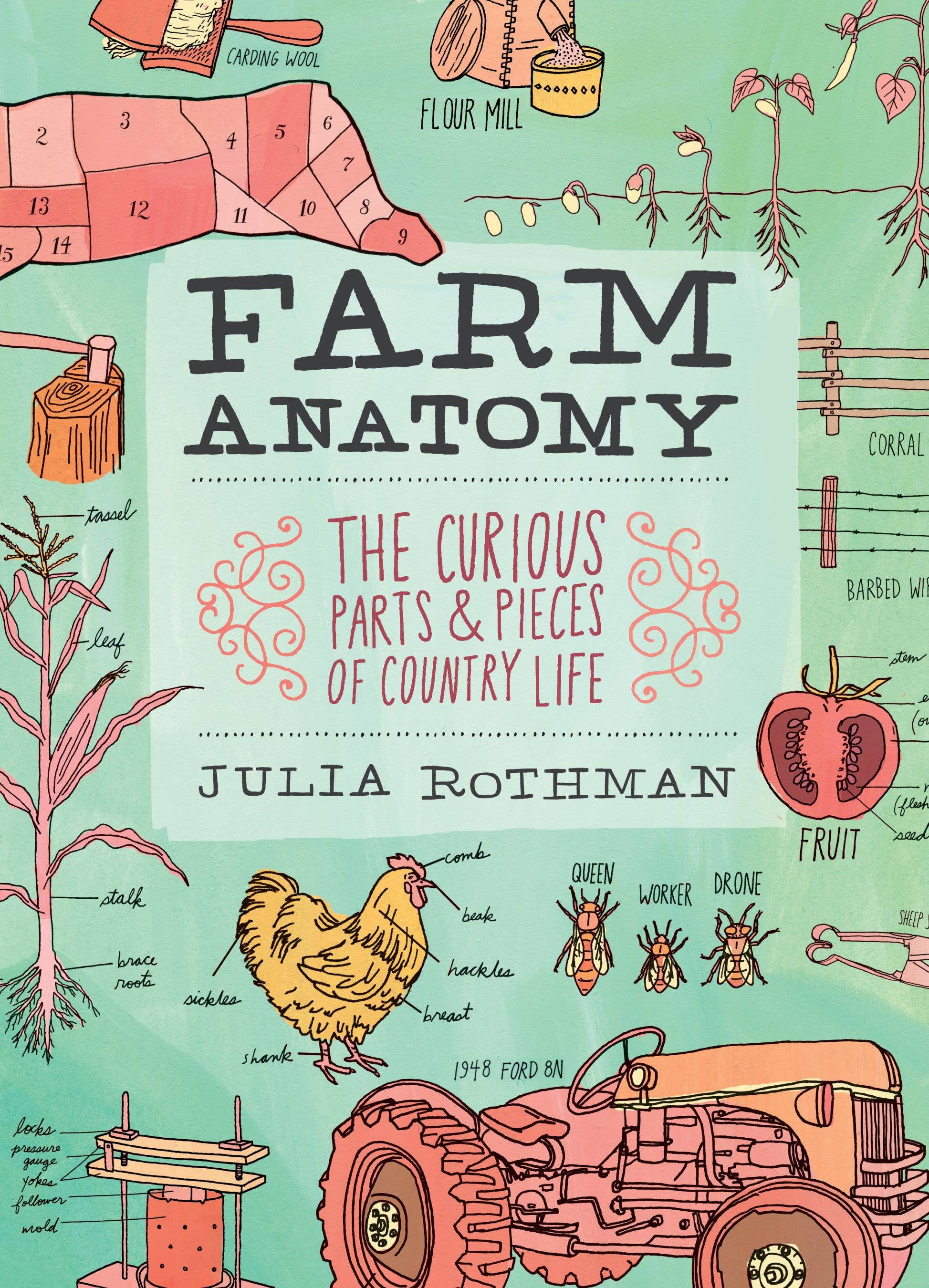 Hachette Book Group - Wholesale Preschool Book (3-5) - Farm Anatomy0
