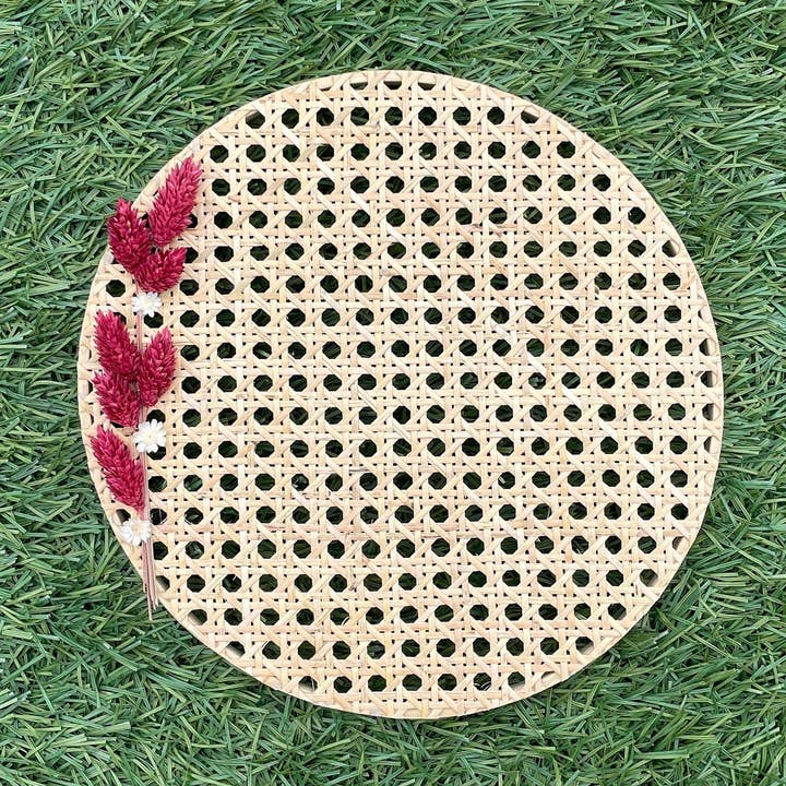 Oorbelhouder van 10 inch, Hangende oorbelorganizer, Wandsieradendisplay, Gedroogde bloemen voor wholesale door Fiddles & Fern