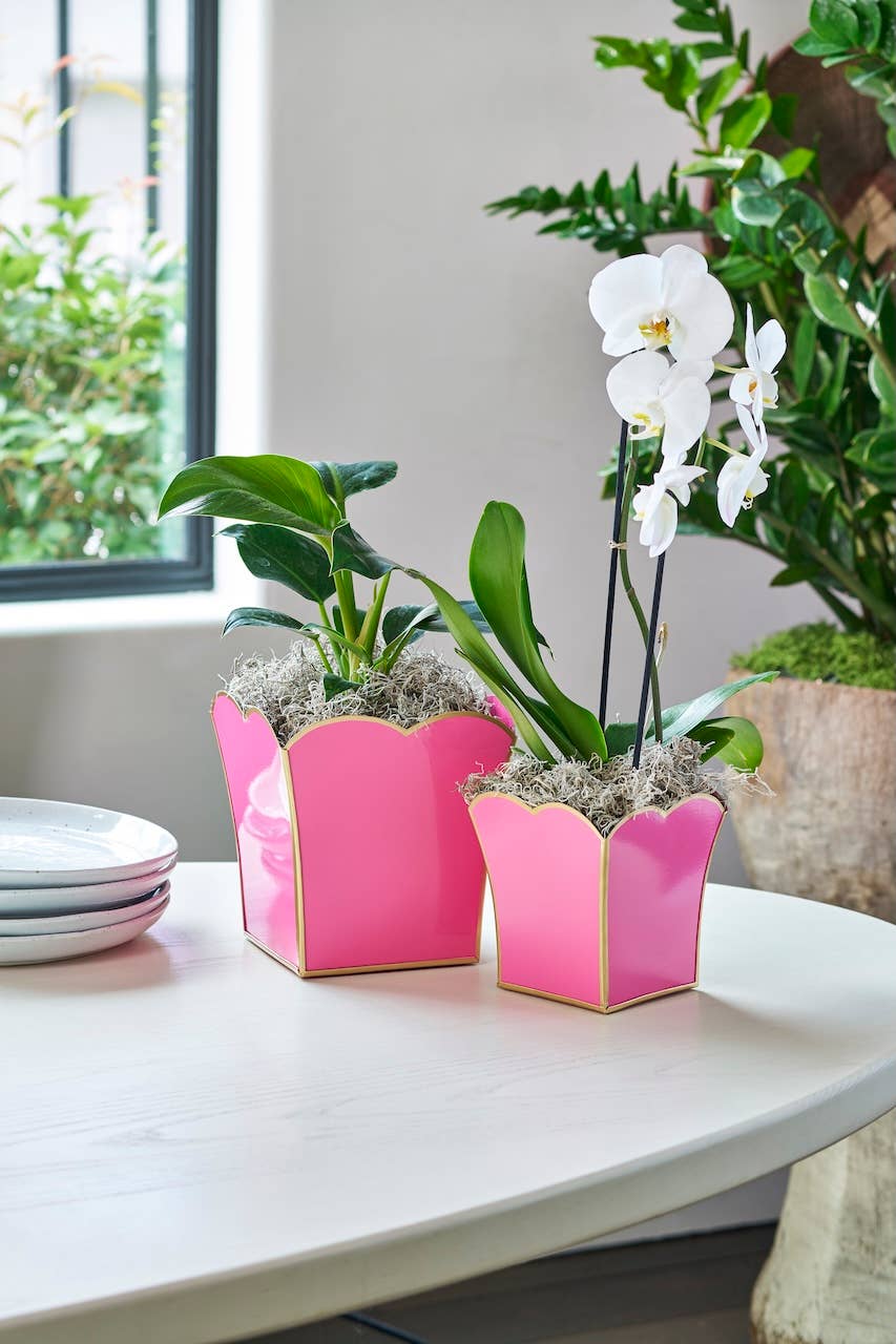 Gracie Scarlett Square Cachepot Planter Pink for wholesale on Faire5