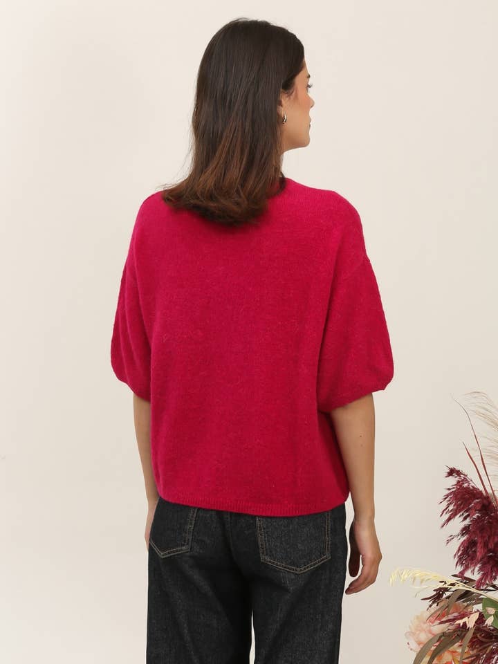 NAÏS PARIS - Wholesale Knit Sweater - Women's - ROUND NECK SHORT SLEEVE SWEATER IN SUPERFINE ALPACA15