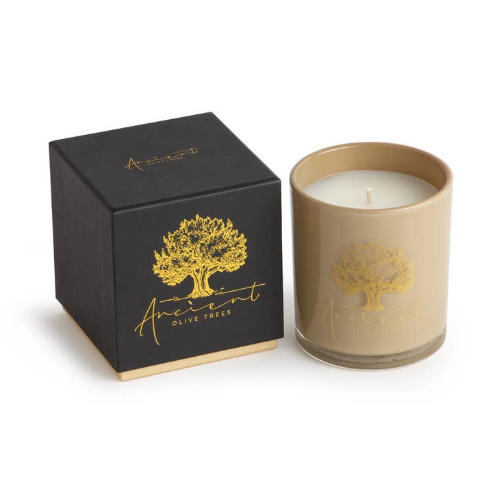 ”Sadel” specialdoftande lyxigt ljus för wholesale av Ancient Olive Trees