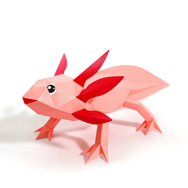 PAPERCRAFT WORLD - Wholesale DIY Craft Kit - Axolotl 3D Origami Model PaperCraft, Animal Lamp10