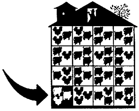 Mighty Mind Kids/Leisure Learning Products - Wholesale Brain Game - Kids - Smarty Farm Game7