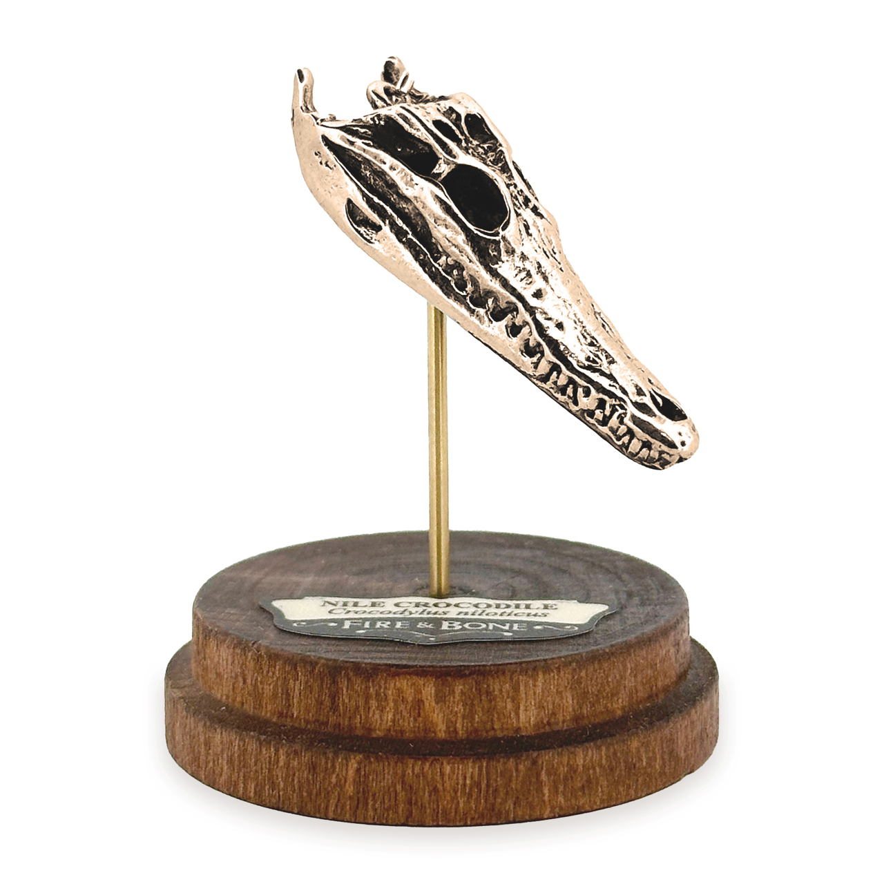 Fire & Bone - Wholesale Pendant/Charm Necklace - Nile Crocodile4