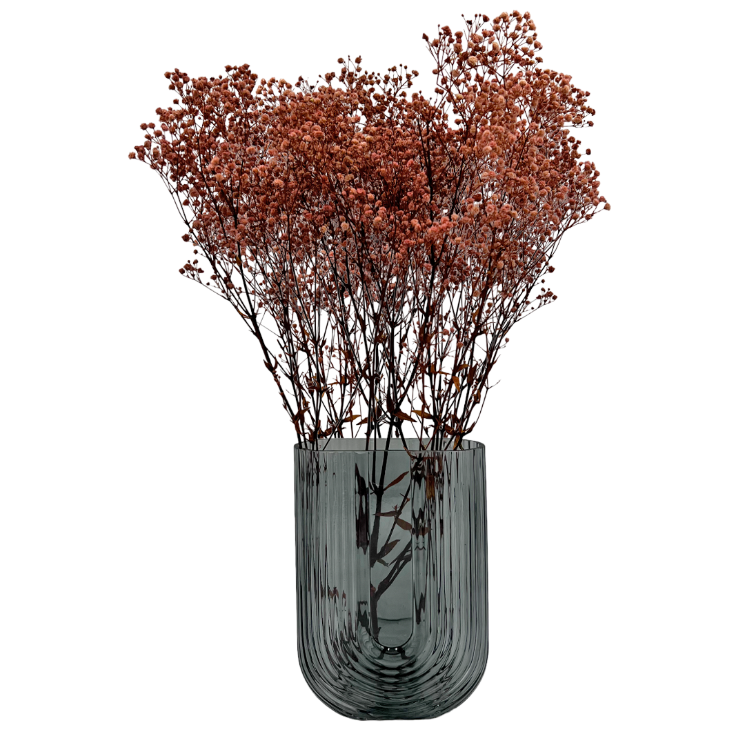 2626 Designs - Wholesale Dried/Pressed Flowers - Preserved Gypsophila, Baby's Breath,24" long16