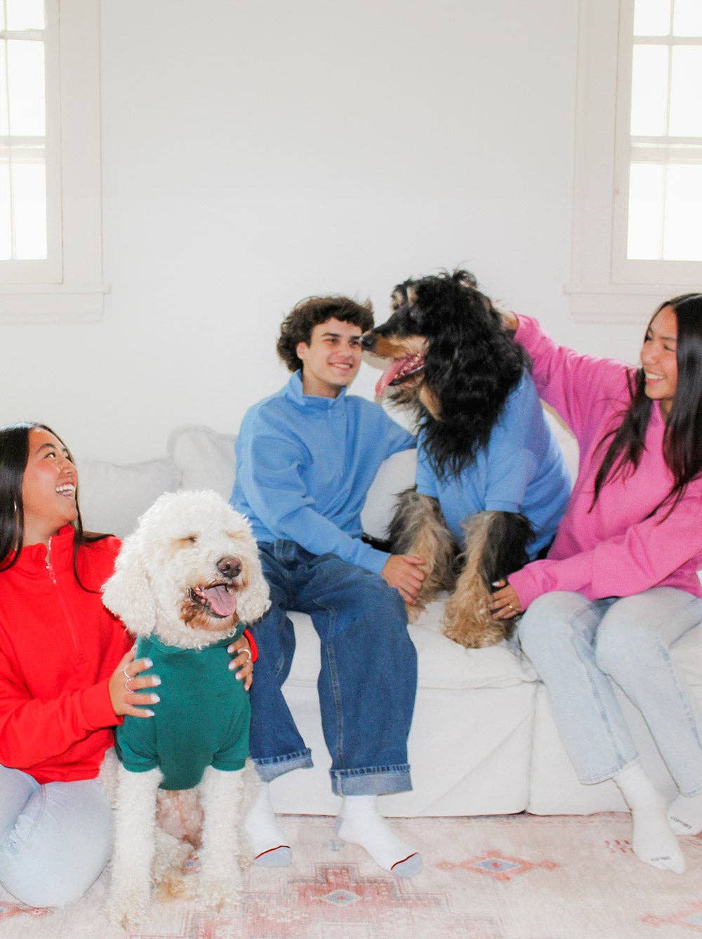 Good Thomas – wholesale Tröja - Hund – Komfort-tröja med dragkedja med 1/47