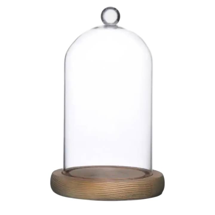 Wax Apothecary - Wholesale Decorative Jar - NEW Cloche Bell Jar with Wood Base for Candle Display