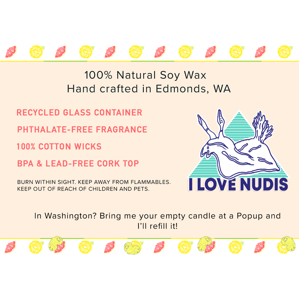 I LOVE NUDIS - Wholesale Jar/Filled Candle - Sea Lemon Nudibranch Candle in Recycled Glass6