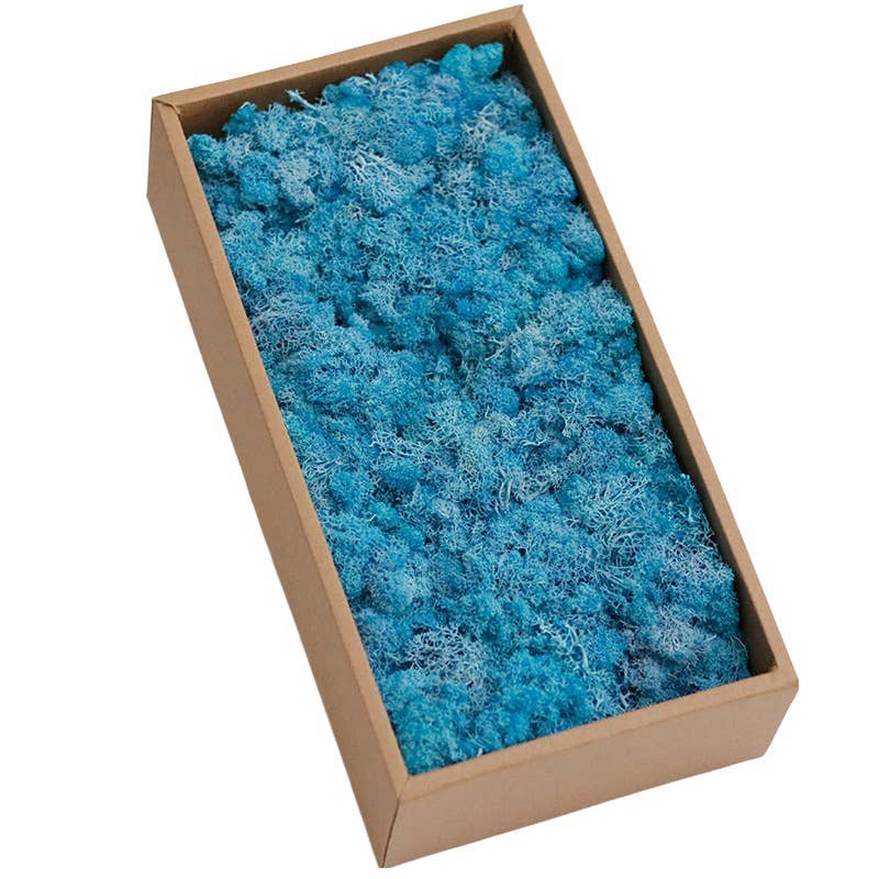 Floral Fields – wholesale Dried/pressed flowers – Preserved Moss for Crafting, 500g8