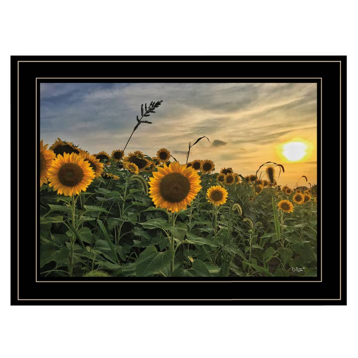 "Midwest Livin' I" by Donnie Quillen Black Framed Wall Art for wholesale by Trendy Decor 4U