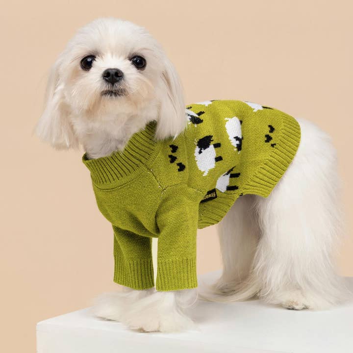 Olive Sheep Knitted Dog Sweater for wholesale on Faire4