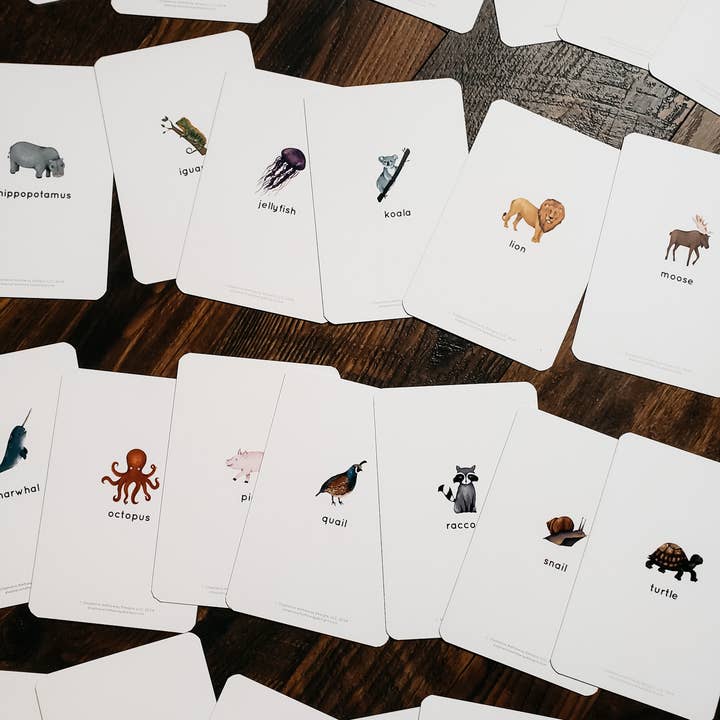 Stephanie Hathaway Designs - Wholesale Learning Cards - Kids & Baby - Animal Alphabet Flashcards (Set of 26 Cards)2