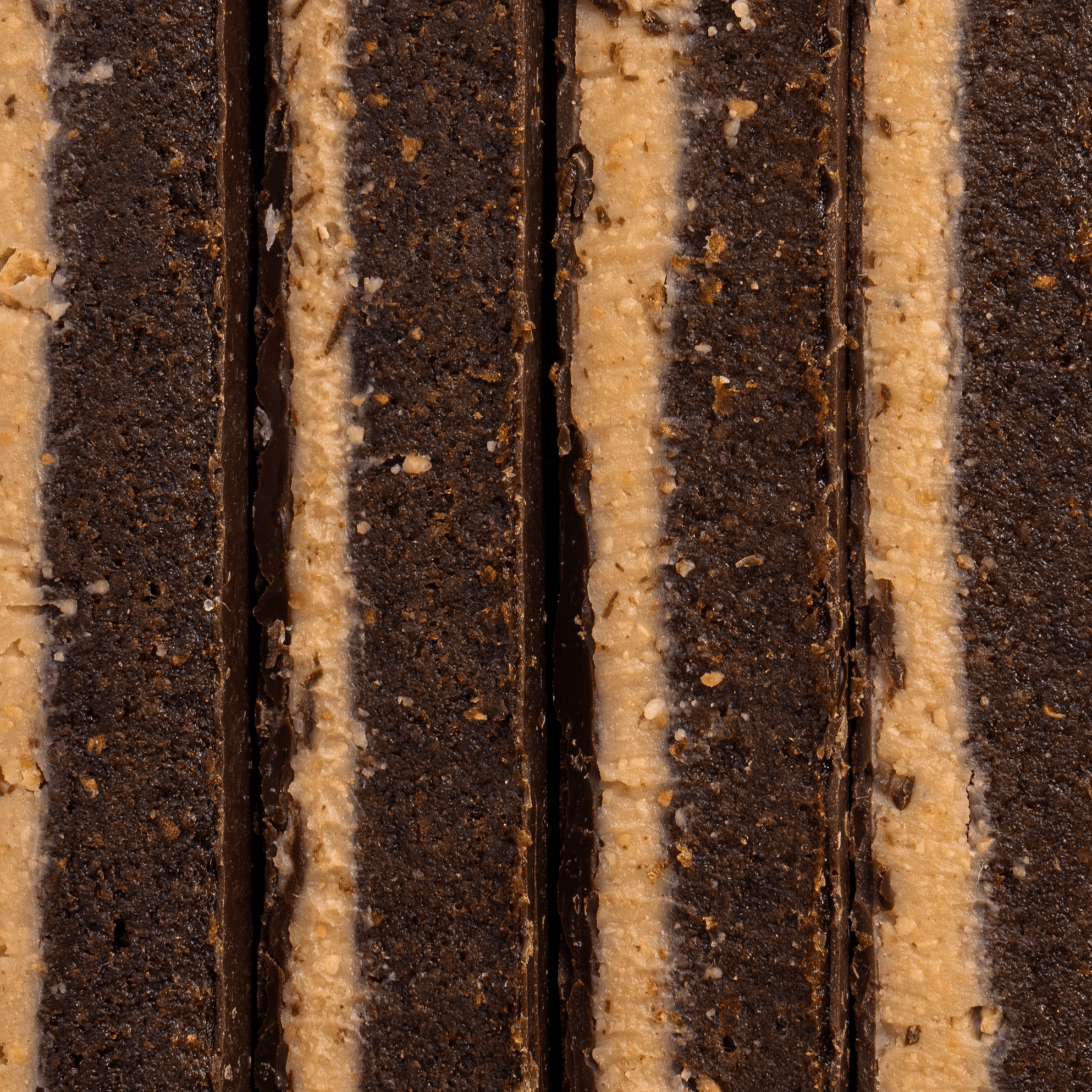 FIZI - Wholesale Snack Bar - GUILTY PLEASURE "HAZELNUT + SALT" 10x45G4