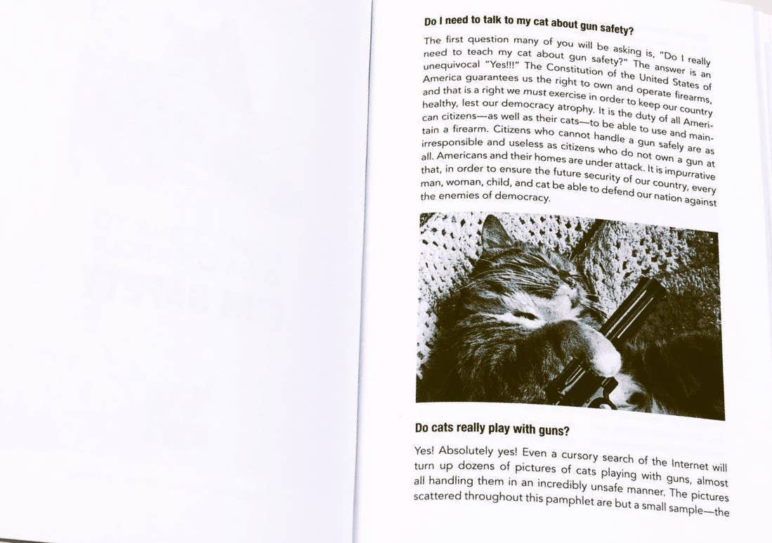 Microcosm Publishing & Distribution – Großhandel Humor – Sprechen Sie mit Ihrer Katze über Waffensicherheit: Und Abstinenz1