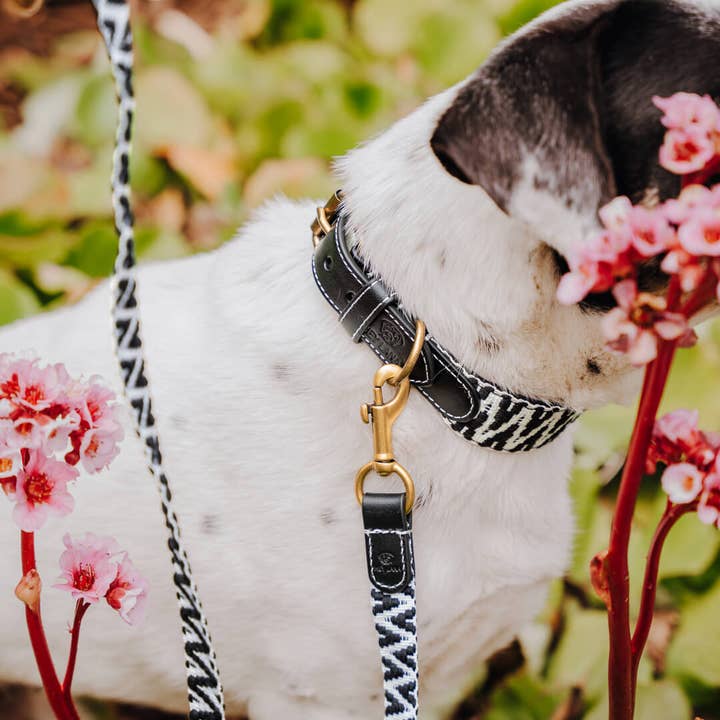 Hey Lana - Wholesale Pet Leash - Dog - Premium dog leash - 3-way adjustable - 2m - black