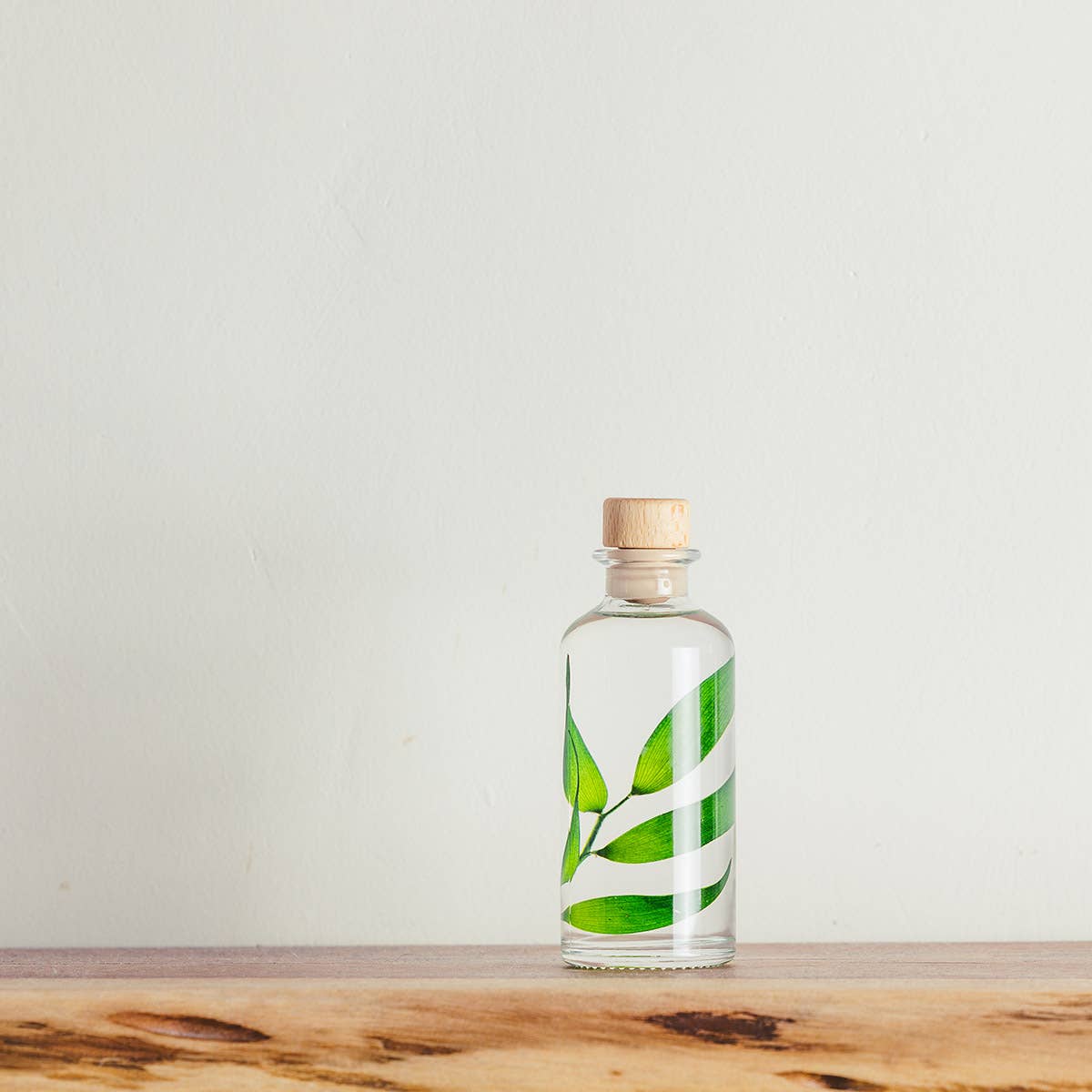 Theophile Berthon - Vente Plante - L'Herbarium Ruscus vert - plante immergée0