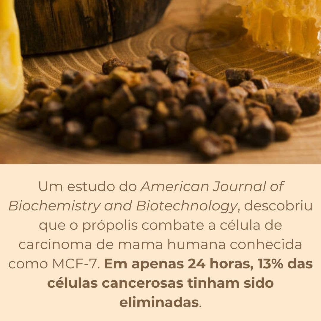 Beesweet - Wholesale Honey - Pure propolis - 20gr3