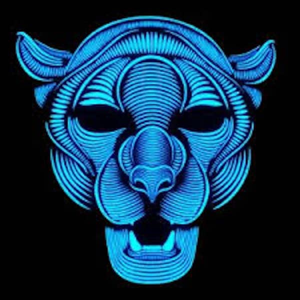 SugarQuoteMeNot LLC - Wholesale Light-Up Toy - Kids & Baby - Sound Activated Light Up L.E.D. Mask3