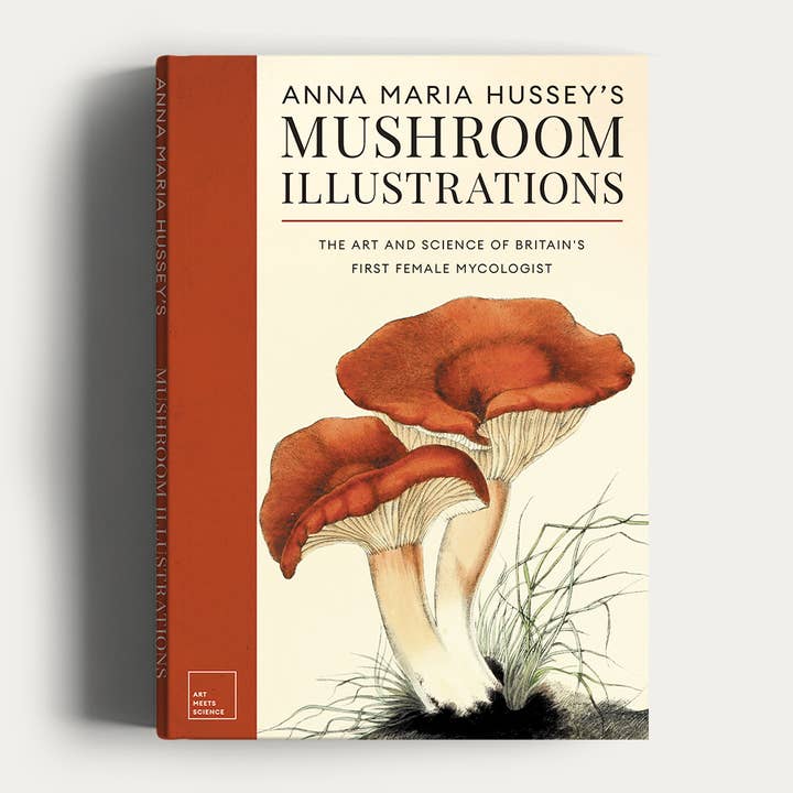 Anna Maria Hussey's Mushroom Illustrations for wholesale by Art Meets Science