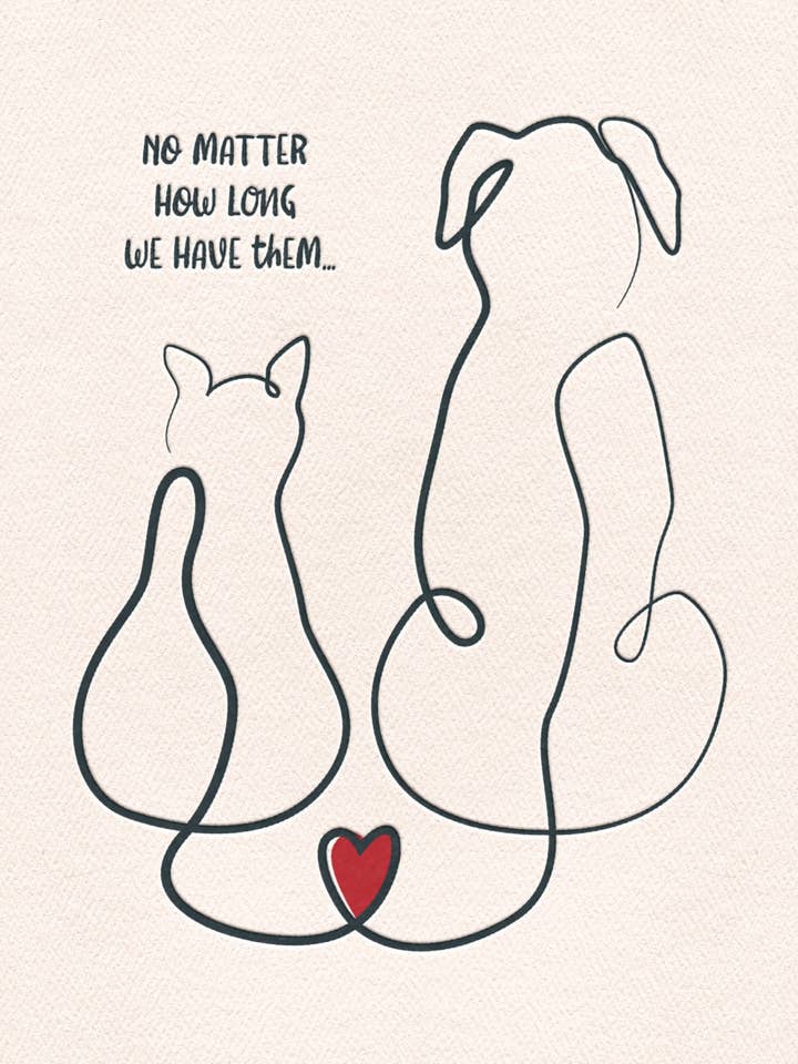 PSY/Cat and Dog for wholesale by Greeting Cards by Norcard