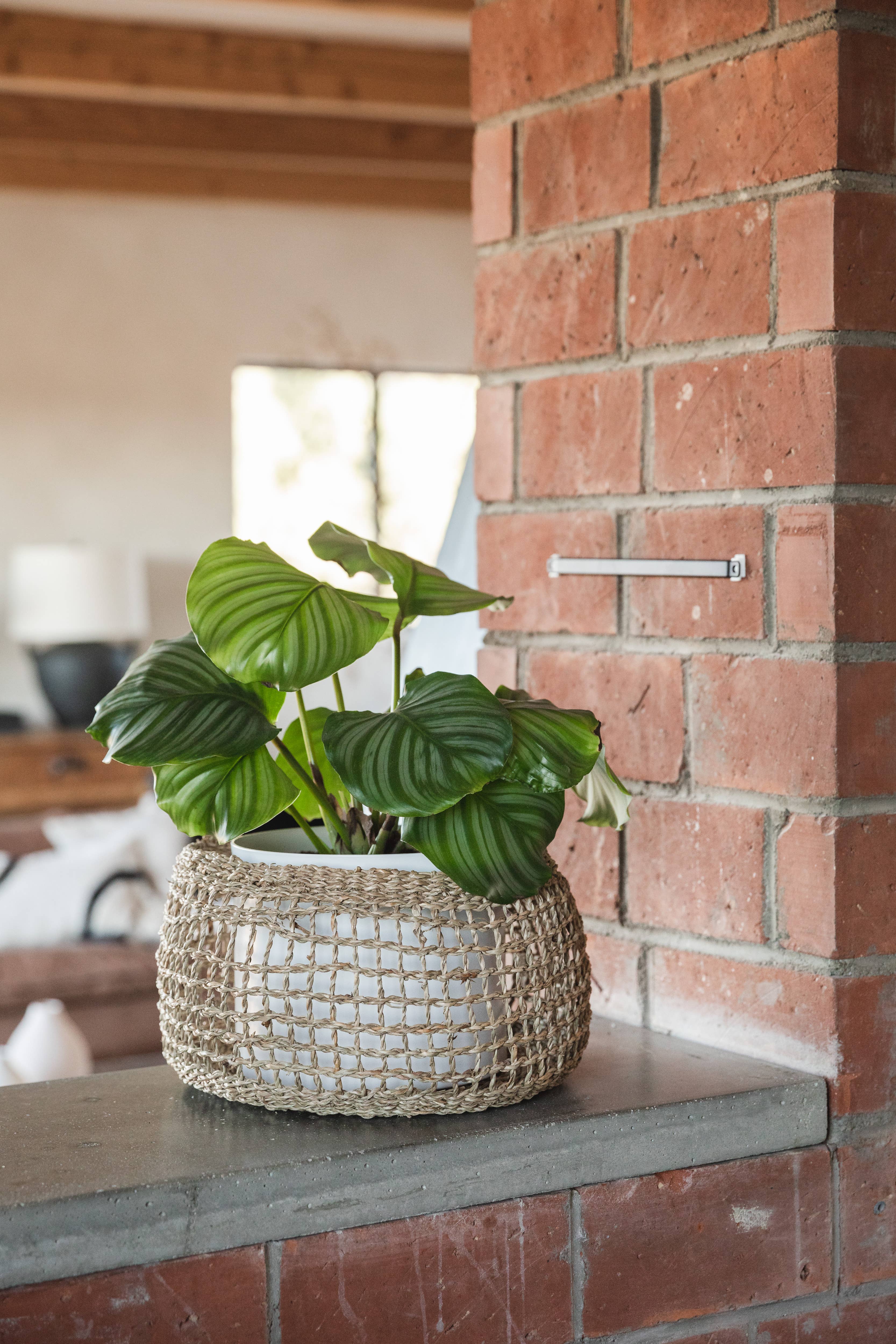 SUNNY HOME - Vente Paniers - Panier de rangement rond en herbe marine – Siwa Rond Petit3