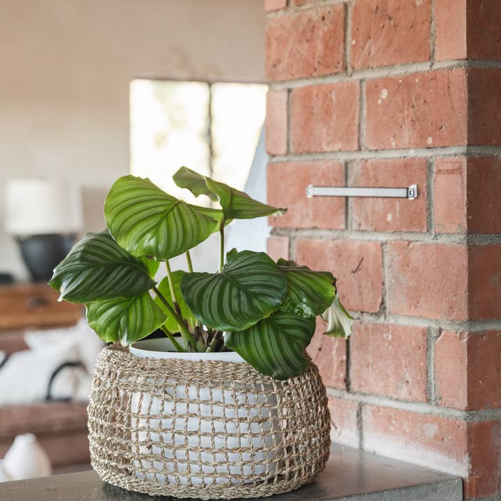 SUNNY HOME - Wholesale Basket - Round Seagrass Basket – Siwa Round S3