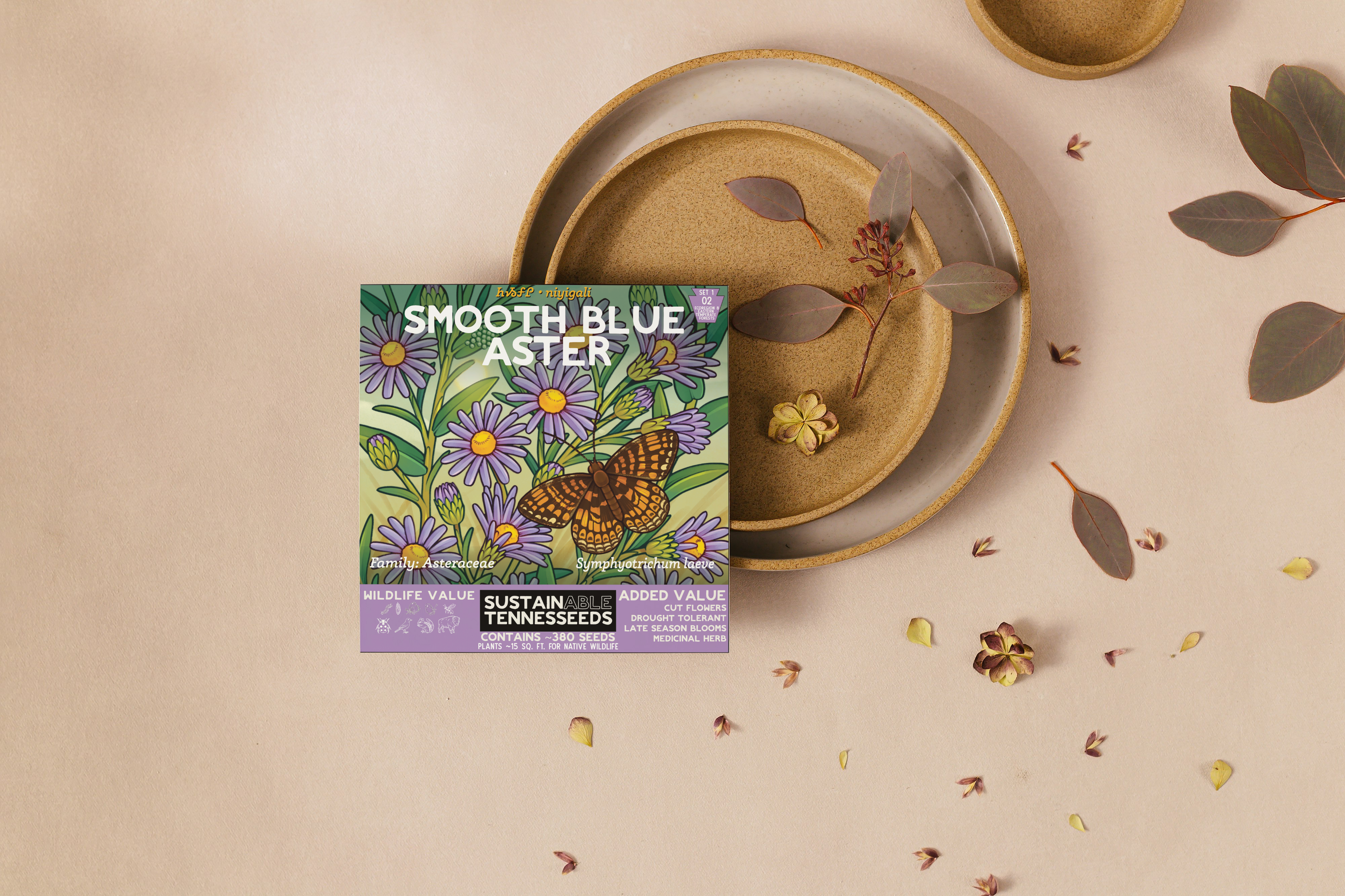 Plant for a Change – Engroshandel Plantefrø – Glathovedet Asters3