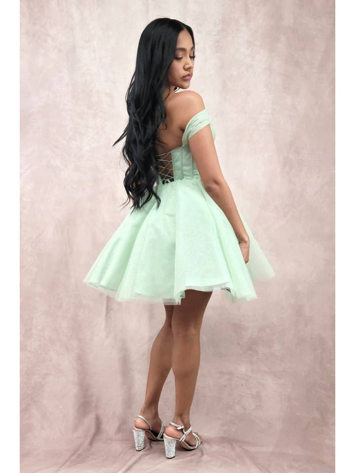 Chicas - Wholesale Dress - Women's - Short Off The Shoulder Tulle Dress With Brooch32