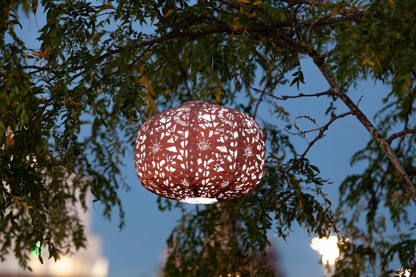 Allsop Home & Garden - Wholesale Outdoor/Lawn Light - Stella Square Sunflower 11" Solar Lantern - Clay16