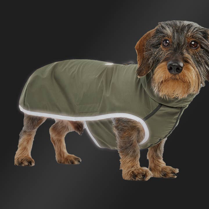 Hunderegnfrakke Active oliven for engroshandel hos Leopold's Finest for dogs