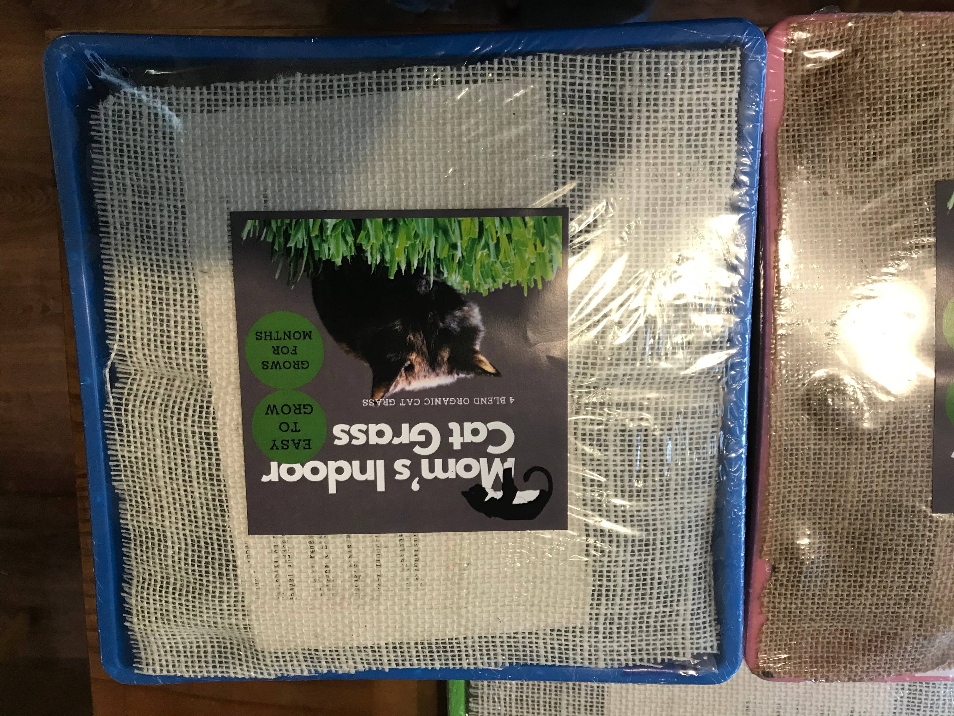 Mom’s Indoor Cat - Wholesale Catnip - 10” x10” Cat Grass Garden Tray/ organic seed2