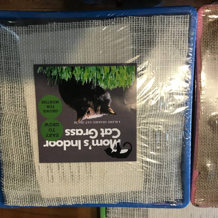 Mom’s Indoor Cat - Wholesale Catnip - 10” x10” Cat Grass Garden Tray/ organic seed2