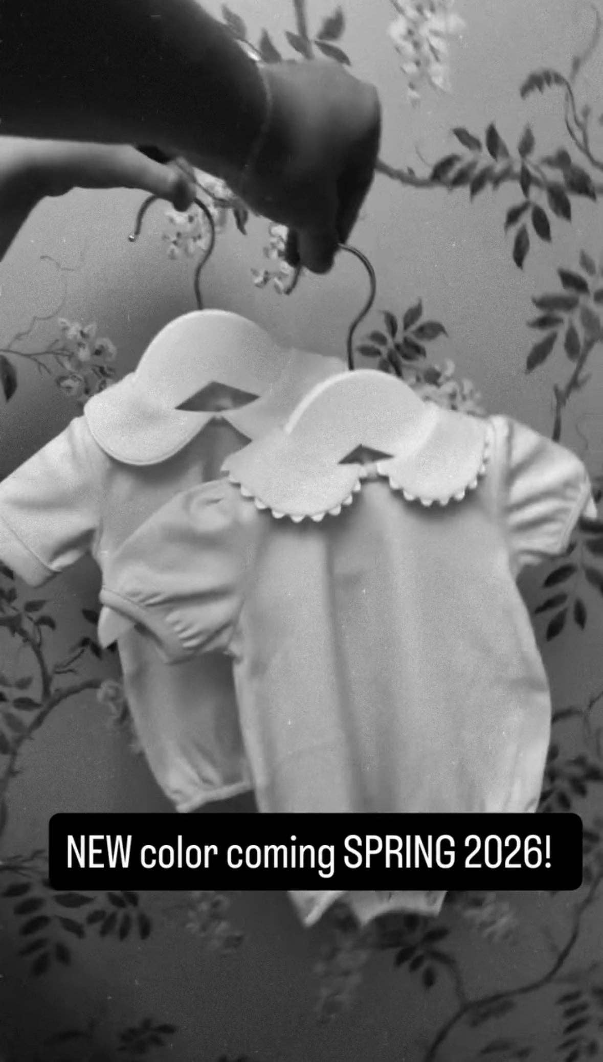 Southern Proper Blanks – Großhandel Body (ohne Füße) – Baby – Blase - Kurzarm mit Muschelkragen8