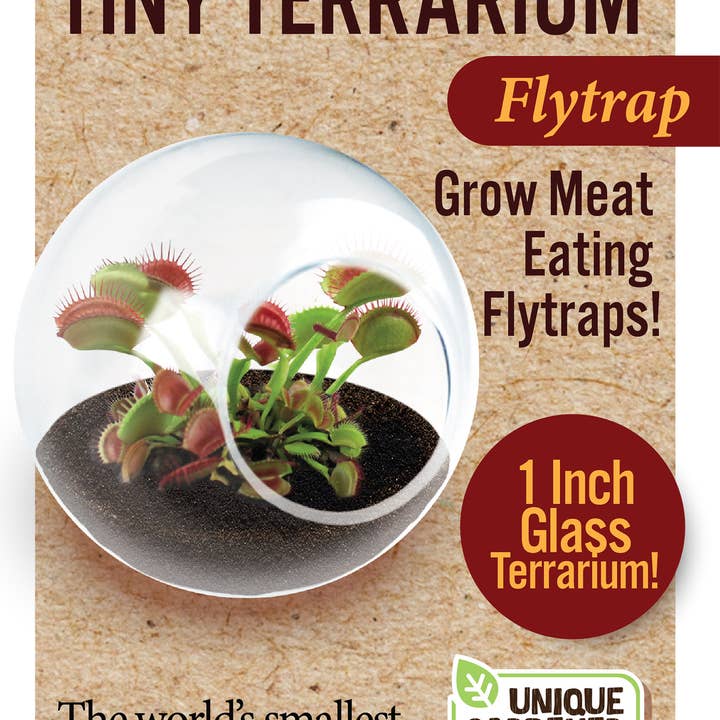 Silver Circle Products - Wholesale Retailer Display - Home & Living - Tiny Terrarium Carnivorous Glass Terrarium Counter Display