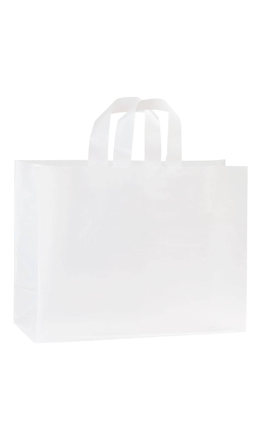 Store Supply Warehouse - Wholesale Gift Bag - Frosted Retail Shopping Bags21